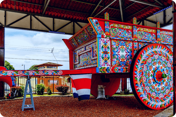 Coffee, Art and Color - Tour del Café y Artesanía