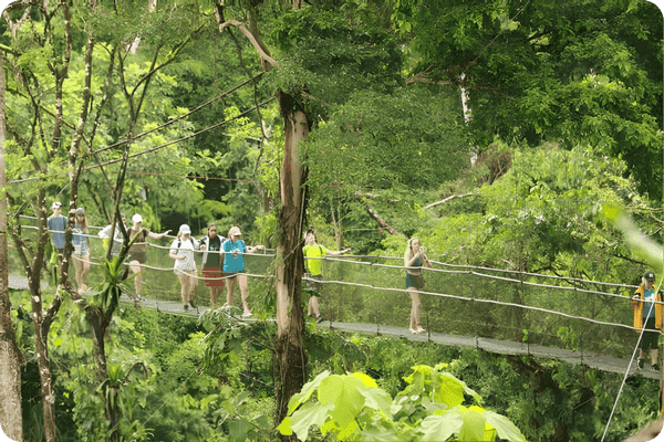 Fertile Land - Sarapiquí Ecoturismo